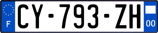 CY-793-ZH
