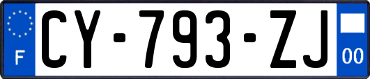 CY-793-ZJ