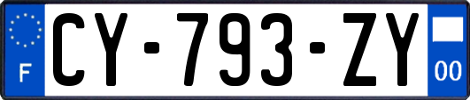 CY-793-ZY
