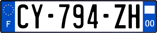 CY-794-ZH