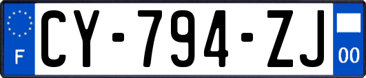 CY-794-ZJ