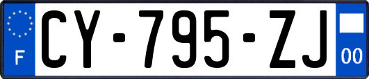 CY-795-ZJ