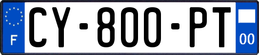 CY-800-PT