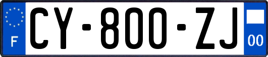 CY-800-ZJ