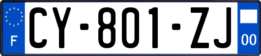 CY-801-ZJ