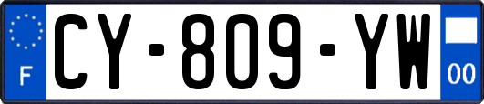 CY-809-YW