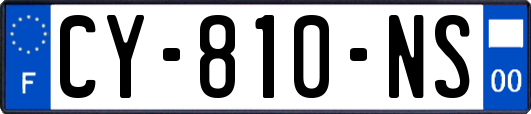 CY-810-NS