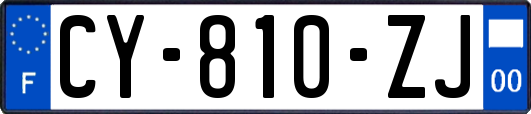 CY-810-ZJ
