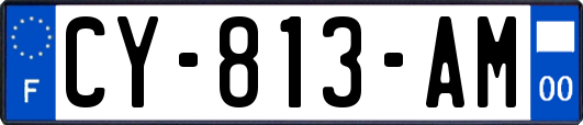 CY-813-AM