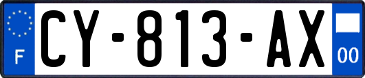 CY-813-AX