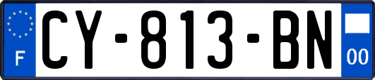 CY-813-BN