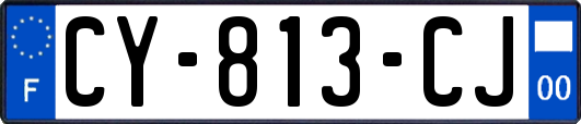 CY-813-CJ