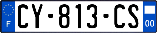 CY-813-CS