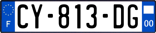 CY-813-DG