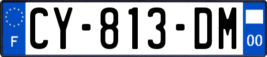 CY-813-DM