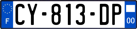 CY-813-DP
