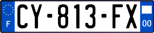 CY-813-FX