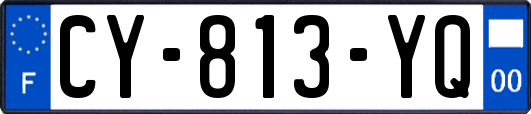 CY-813-YQ