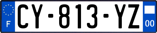 CY-813-YZ
