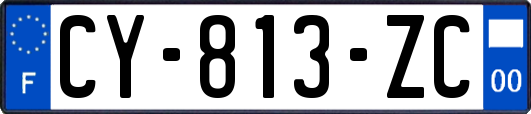 CY-813-ZC
