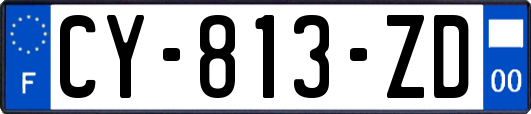 CY-813-ZD