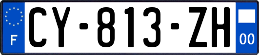 CY-813-ZH