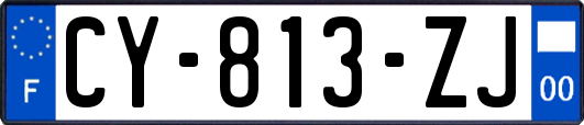 CY-813-ZJ