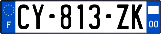 CY-813-ZK