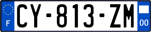 CY-813-ZM