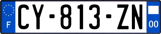 CY-813-ZN