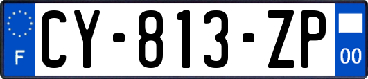 CY-813-ZP