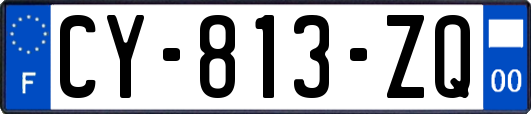 CY-813-ZQ
