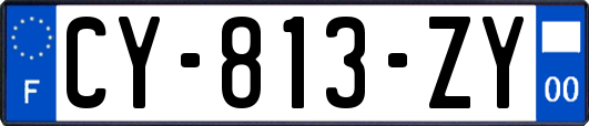 CY-813-ZY