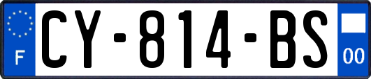 CY-814-BS