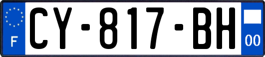 CY-817-BH
