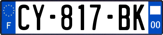 CY-817-BK
