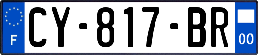 CY-817-BR