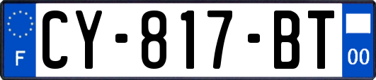CY-817-BT