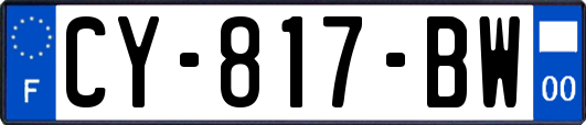 CY-817-BW