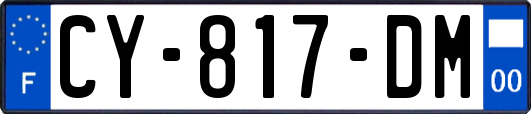 CY-817-DM