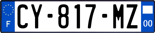 CY-817-MZ