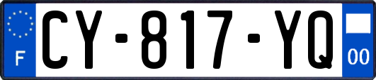 CY-817-YQ