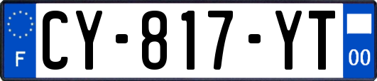 CY-817-YT