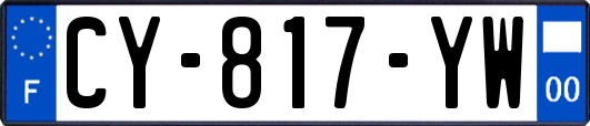 CY-817-YW