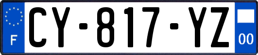 CY-817-YZ