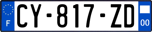 CY-817-ZD