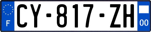 CY-817-ZH