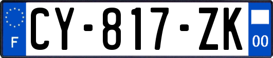 CY-817-ZK