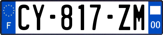 CY-817-ZM