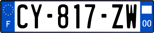 CY-817-ZW